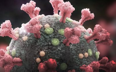 ¿La inteligencia artificial puede ayudar a combatir el coronavirus?