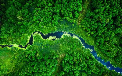 Postpandemia: ¿seremos más ecológicos?