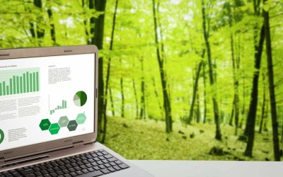 ¿Qué es el green programming?