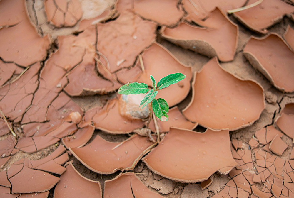Alerta por Sequía en España: el “viaje del ciudadano-cliente” frente a la gestión de los recursos públicos
